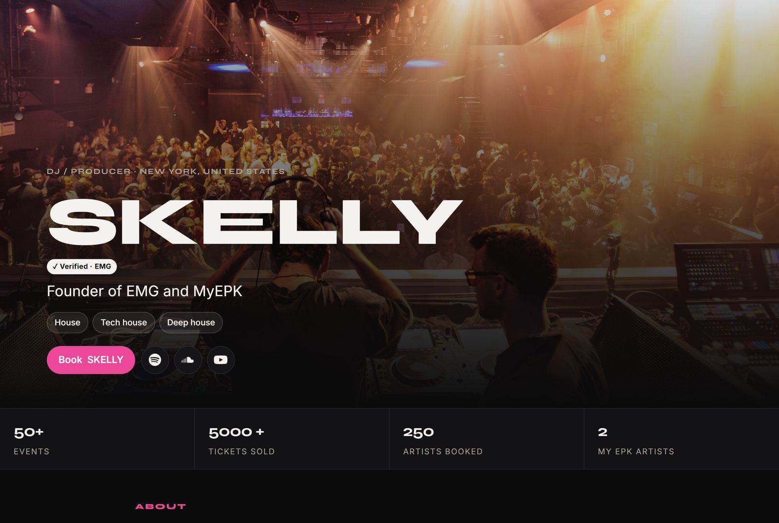 The stats row under the name on a MY EPK press kit